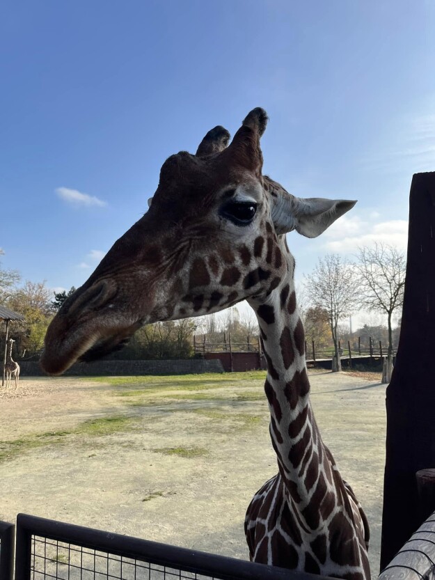 465649690_526321666881754_2663195916987455653_n