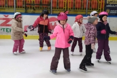 IMG_20250221_100846