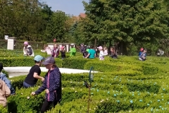 IMG_20250513_105618