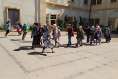 IMG_20250513_110650